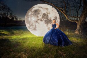 luna web